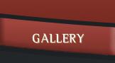 Gallery button